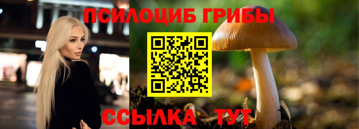 даркнет сайт  Вход с VPN  Бийск  Псилоцибиновые грибы ЛСД 